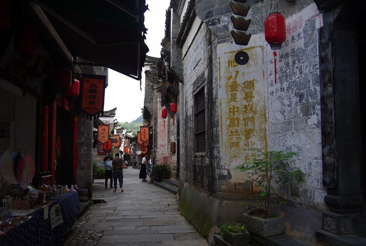 拯救可爱袋鼠
